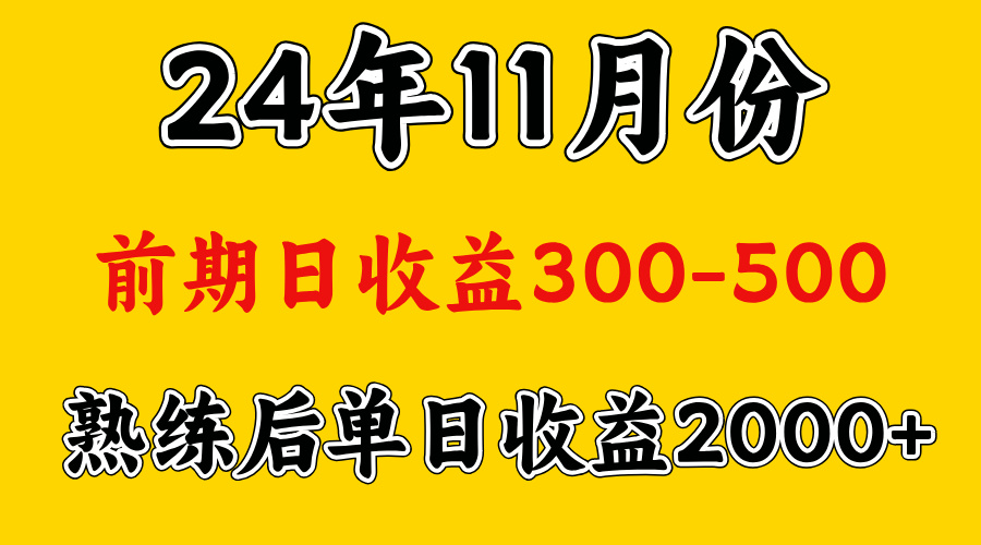 轻资产项目，前期日收益500左右，后期日收益1500-2000左右，多劳多得-明哥网创资源