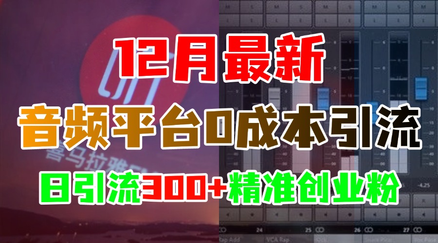 12月最新：音频平台0成本引流，日引300+精准创业粉-明哥网创资源