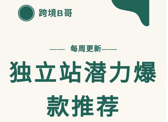 【跨境B哥】独立站潜力爆款选品推荐，测款出单率高达百分之80（每周更新）-明哥网创资源