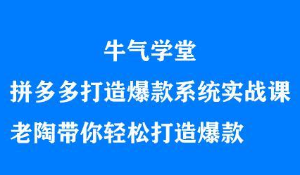 牛气学堂拼多多打造爆款系统实战课，老陶带你轻松打造爆款-明哥网创资源