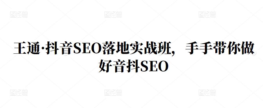 王通·抖音SEO落地实战班，手‬手带你做好音抖‬‬SEO-明哥网创资源