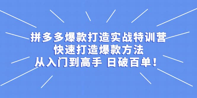 拼多多爆款打造实战特训营：快速打造爆款方法，从入门到高手 日破百单-明哥网创资源