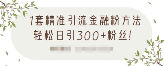 1套精准引流金融粉方法，轻松日引300+粉丝【视频课程】-明哥网创资源