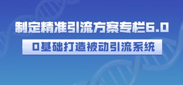 制定精准引流方案专栏6.0，0基础打造被动引流系统-明哥网创资源