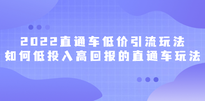 2022直通车低价引流玩法，教大家如何低投入高回报的直通车玩法-明哥网创资源