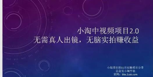 小淘项目组网赚永久会员，绝对是具有实操价值的，适合有项目做需要流程【持续更新】-明哥网创资源