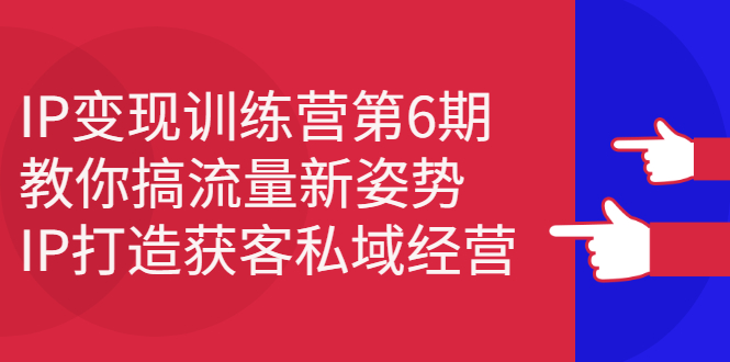 IP变现训练营第6期：教你搞流量新姿势，IP打造获客私域经营-明哥网创资源